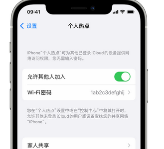 砀山apple服务站点分享iPhone上个人热点丢失了怎么办