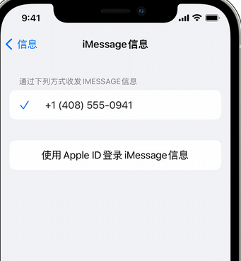 砀山apple维修iPhone上无法正常发送iMessage信息 