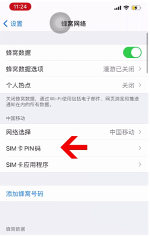 砀山苹果14维修网分享如何给iPhone14的SIM卡设置密码 