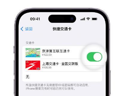 砀山apple维修点分享iPhone上更换Apple Pay快捷交通卡手绘卡面 