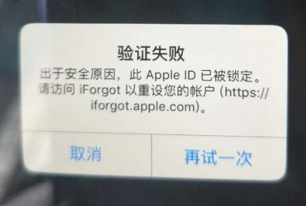 砀山iPhone维修分享iPhone上正常登录或使用AppleID怎么办 