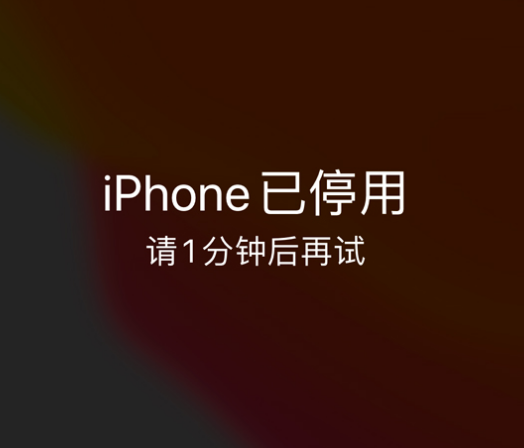 砀山苹果手机维修分享:iPhone 显示“不可用”或“已停用”怎么办？还能保留数据吗？ 