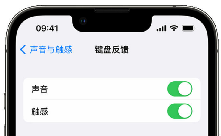 砀山苹果手机维修分享iPhone 14触感键盘使用方法 