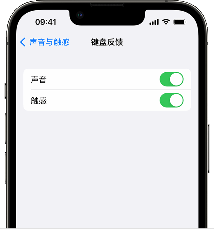 砀山苹果14维修店分享如何在 iPhone 14 机型中使用触感键盘 