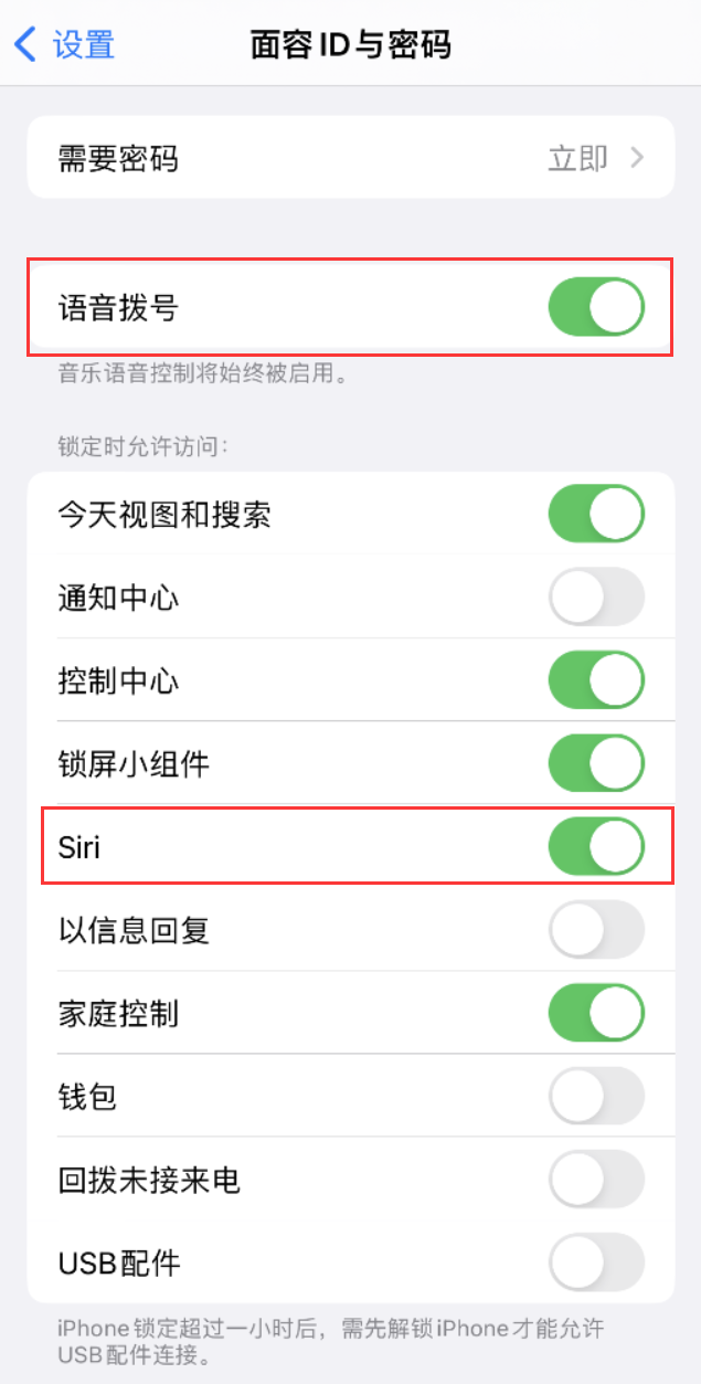 砀山苹果维修网点分享不解锁 iPhone 的情况下通过 Siri 拨打电话的方法 