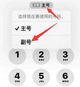 砀山苹果14维修店分享iPhone 14 Pro Max使用副卡打电话的方法 