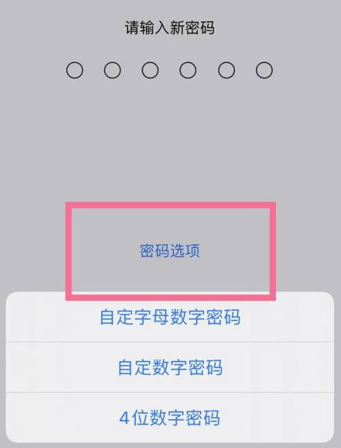 砀山苹果14维修分享iPhone 14plus设置密码的方法 