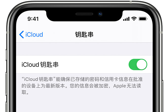 砀山苹果手机维修分享在 iPhone 上开启 iCloud 钥匙串之后会储存哪些信息 